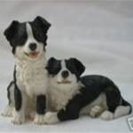 Leonardo Two Border Collie Puppies