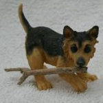 Leonardo German Shepherd Puppy with Branch