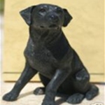 Leonardo sitting Black Labrador