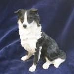 Leonardo Sitting Border Collie