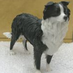 Leonardo Standing Border Collie