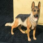 Leonardo Standing German Shepherd