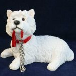 Leonardo West Highland Terrier Lying With Lead