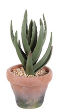 Choice 3 Artificial Cactus Aloe Vera Plants in Terracotta Effect EVA Pot 20-23cm