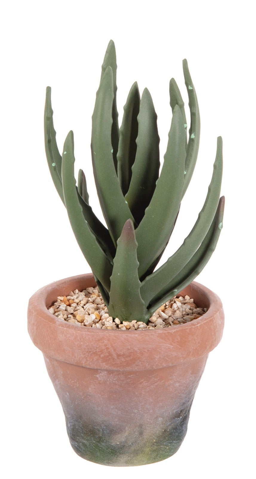 Choice 3 Artificial Cactus Aloe Vera Plants in Terracotta Effect EVA Pot 20-23cm