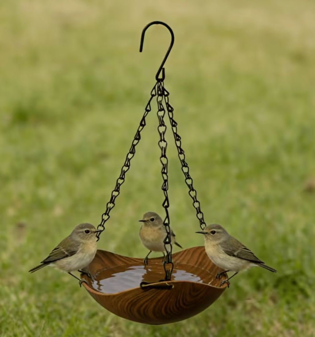 Dark Wood Grain Bird Bath Garden Ornament 35cm Hanging Depth & Cleaning Brush