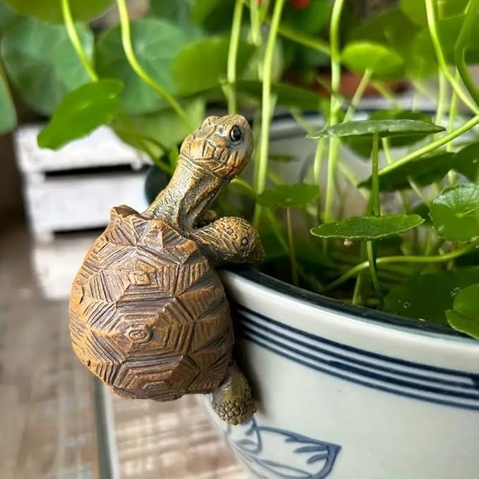 Beautifully Detailed Cute Tortoise Resin Plant Pot Hanger 7.5cm Indoor Outdoor