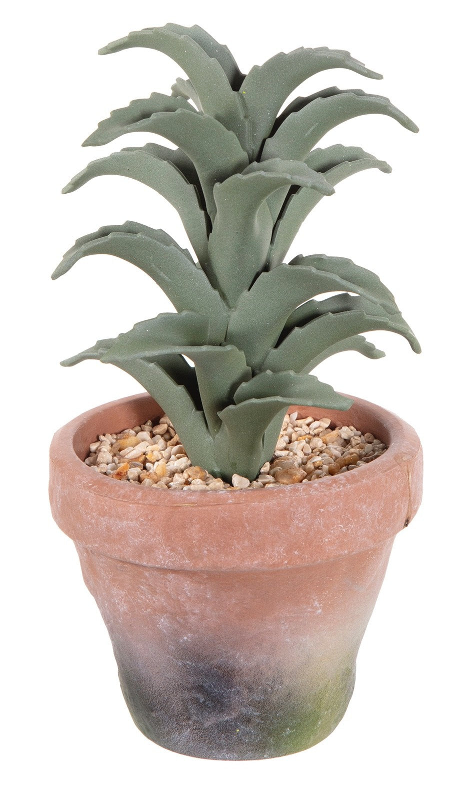 Choice 3 Artificial Cactus Aloe Vera Plants in Terracotta Effect EVA Pot 20-23cm