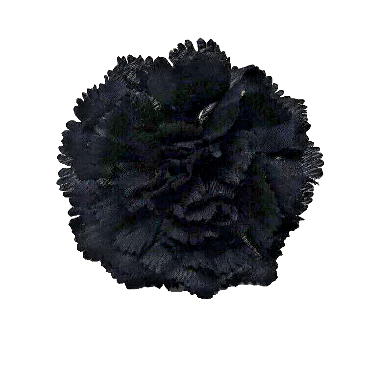 Black Hair Fascinator Flower Serrated Petals on Pony Tail Elastic Ideal Funeral