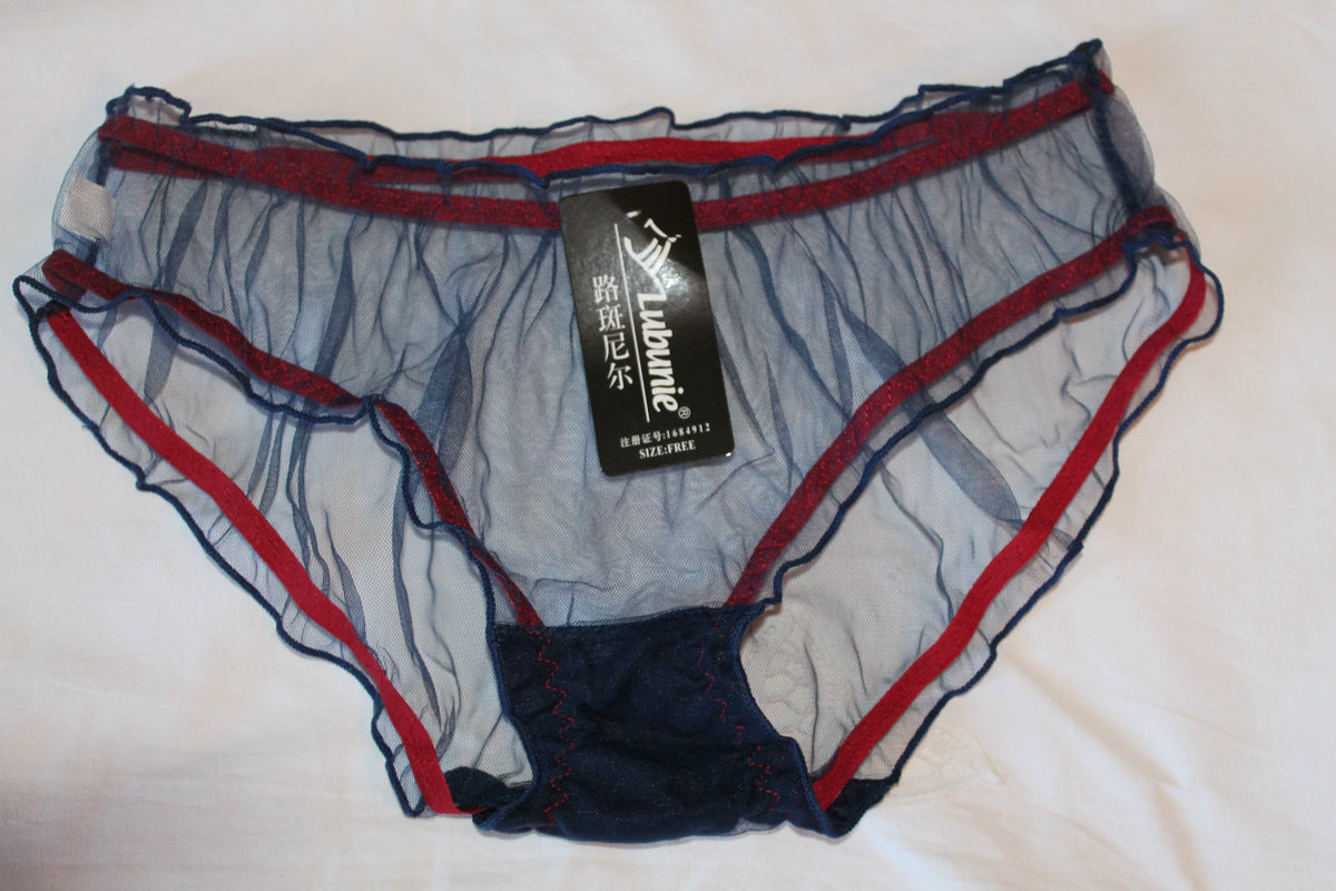 Ladies Sheer Mesh Transparent Net Sexy Knickers Panties Briefs Elasticated 8-12