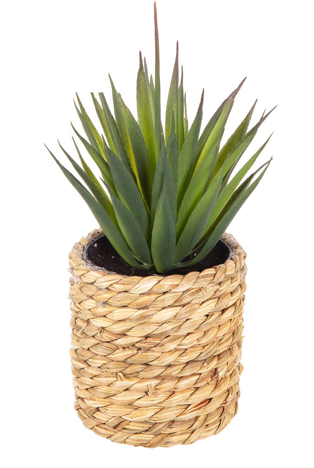 2 Different Artificial Cactus/Mini Succulents in a Seagrass Pot Indoor Outdoor