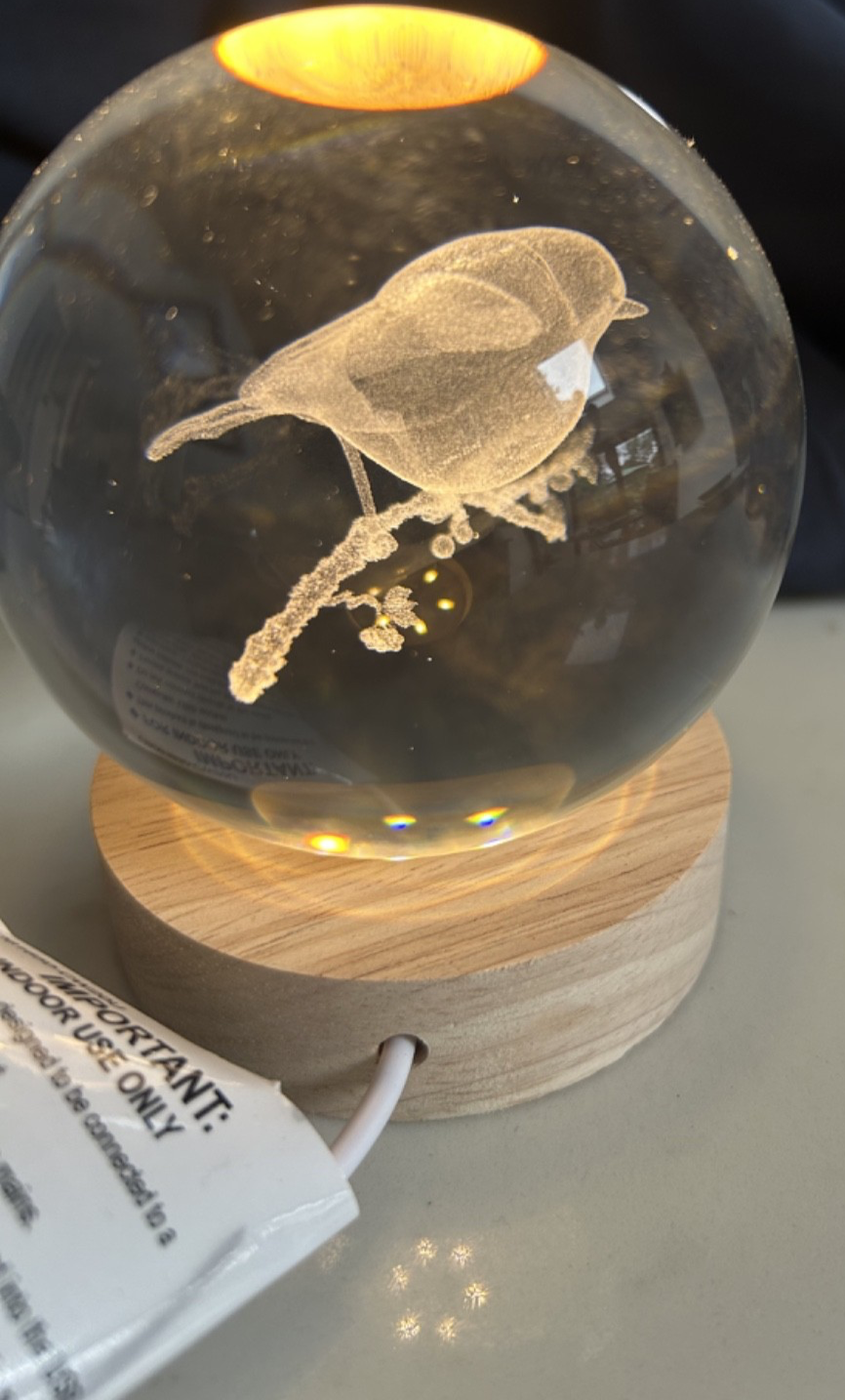 Christmas Festive Robin on a Branch 3D Etched LED Light up Globe 10cm Wood Base