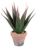 Choice of 2 Artificial Cactus Aloe Vera Plants in Terracotta Effect EVA Pot 30cm