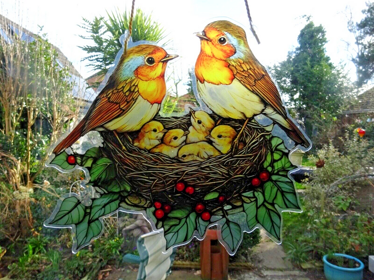 Acrylic Hanging Garden Suncatcher Robin Family Nest 23cm Wide on a Yellow Cord