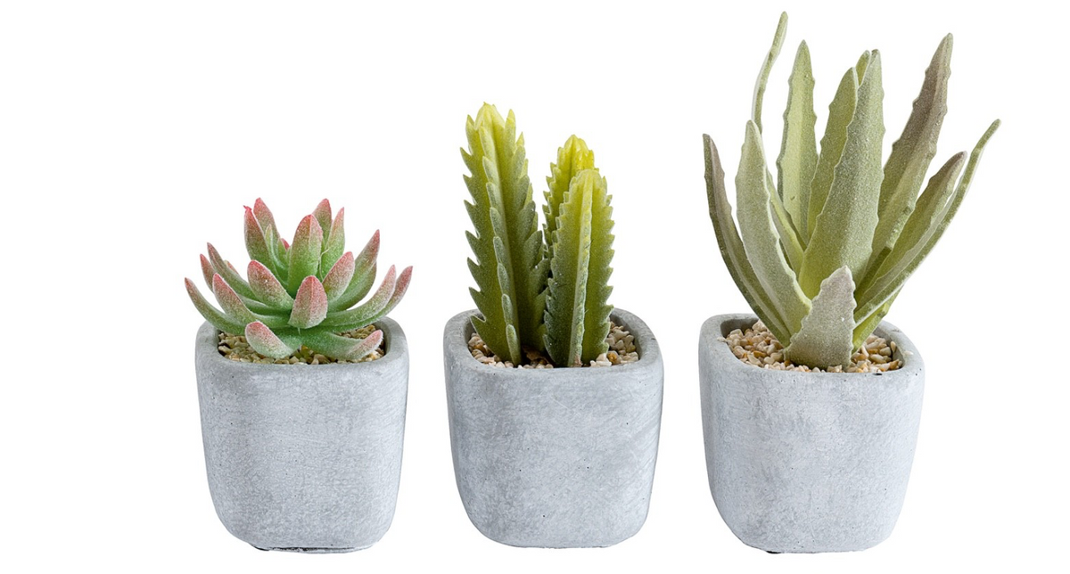 3 Different Artificial Cactus Plants Each in a Stone Ceramic Pot Child Safe