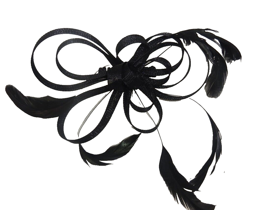 Black Coiled Stiffened Net & Long Feather Fascinator on a Clear Comb Funeral