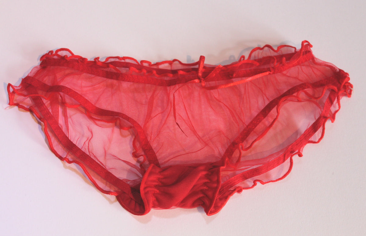 Ladies Sheer Mesh Transparent Net Sexy Knickers Panties Briefs Elasticated 8-12