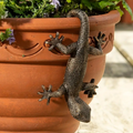 Indoor or Outdoor Use Detailed Resin Plant Pot Hanger Gecko Lizard 11cm x 6.8cm