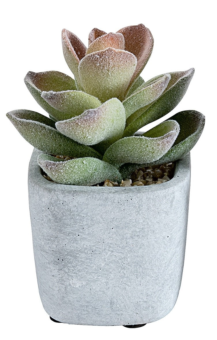 Choice of 6 different Artificial Cactus Plants in a  Stone Effect Ceramic Pot