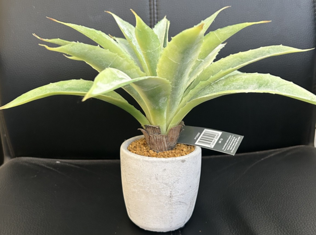 Artificial Cactus Succulent Plant in a Stone Ceramic Pot 26cm Tall Child Safe