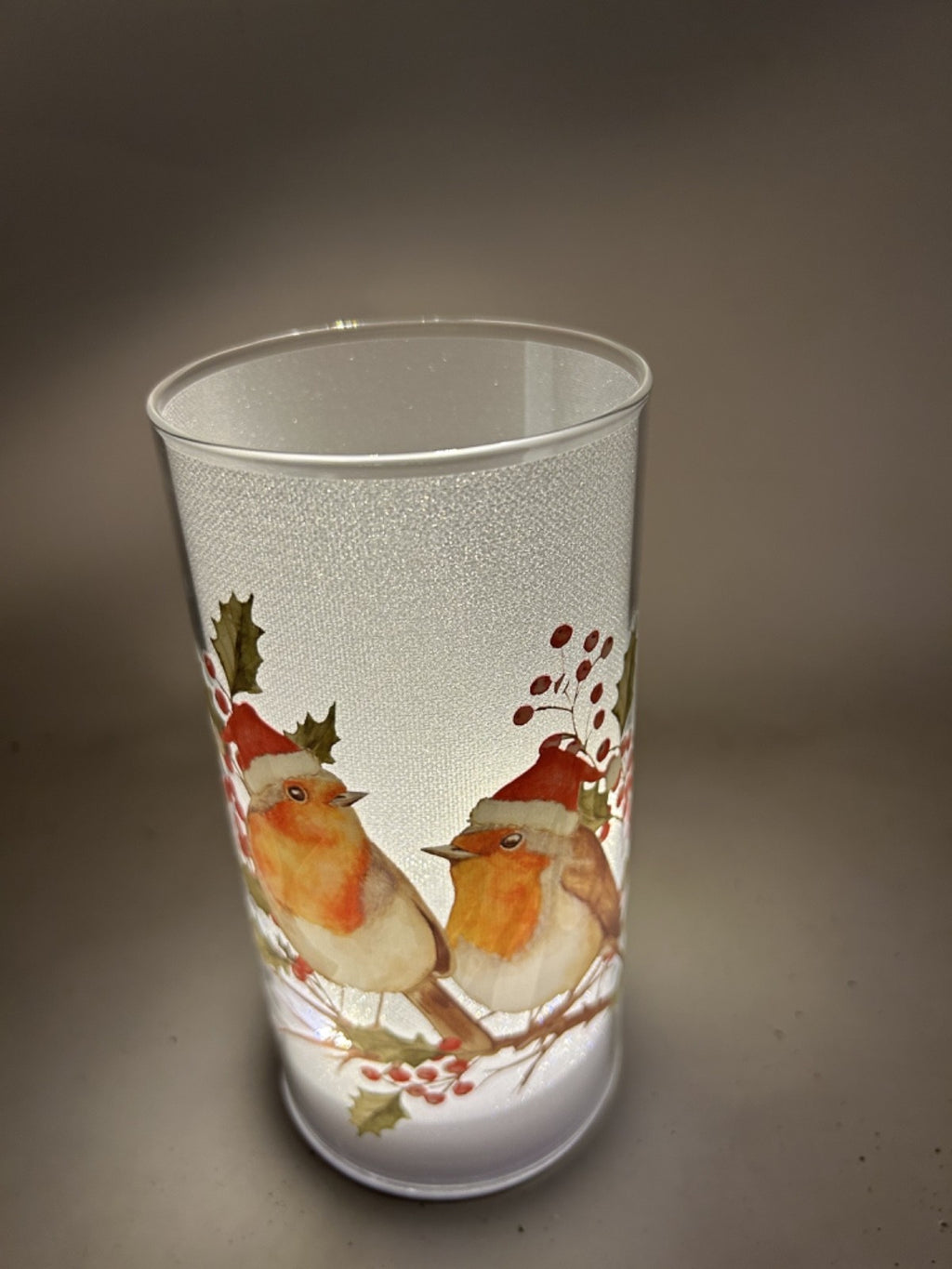 Christmas Festive LED Light Up Robin Frosted Cylinder Lantern Lamp  18cm Tall