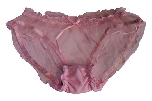 Ladies Sheer Mesh Transparent Net Sexy Knickers Panties Briefs Elasticated 8-12