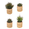 4 Different Artificial Cactus/Mini Succulents in a Seagrass Pot Indoor Outdoor