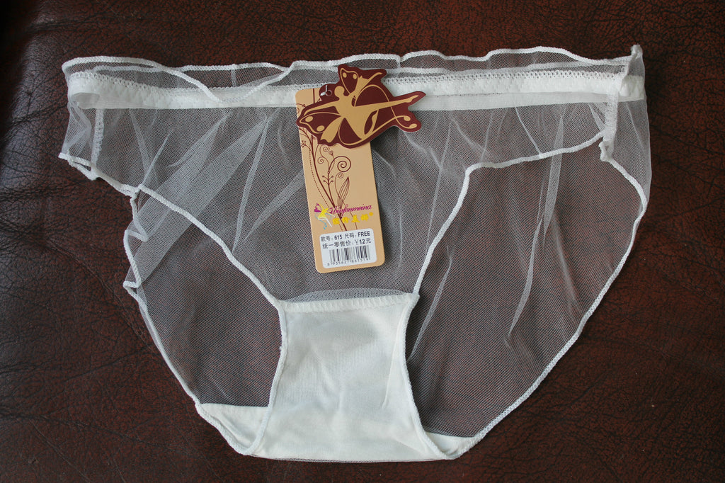 Ladies Sheer Mesh Transparent Net Sexy Knickers Panties Briefs Elasticated 8-12