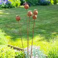 Core-Ten Rusty Metal 5 Poppy Heads on Long Stakes Garden Ornament 110cm High