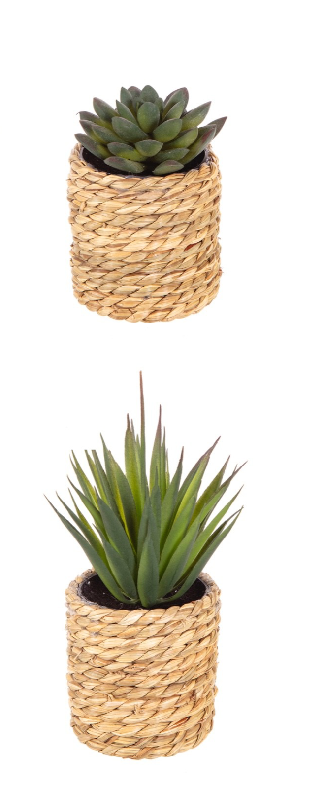2 Different Artificial Cactus/Mini Succulents in a Seagrass Pot Indoor Outdoor