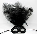 ALL BLACK FEATHER MASK VENETIAN MASQUERADE BALL CARNIVAL PARTY FACE EYE MASK