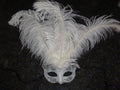 LADIES WHITE & SILVER VENETIAN MASQUERADE PARTY CARNIVAL BALL EYE FEATHER MASK