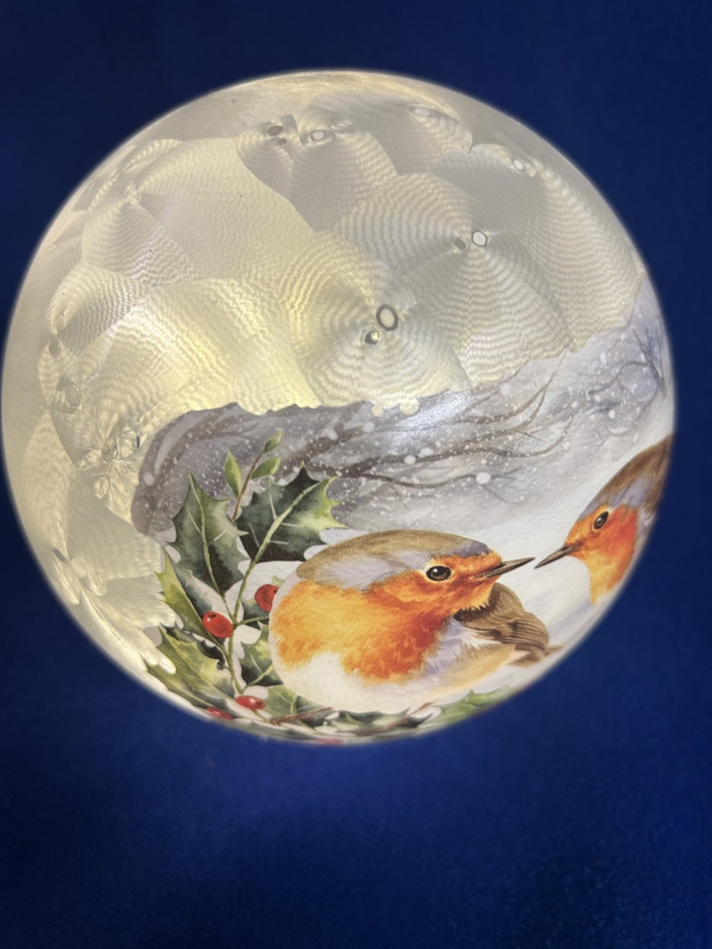 Christmas Festive 2 Robins with Holly LED Light up Frosted Glass Globe 15cm Dia