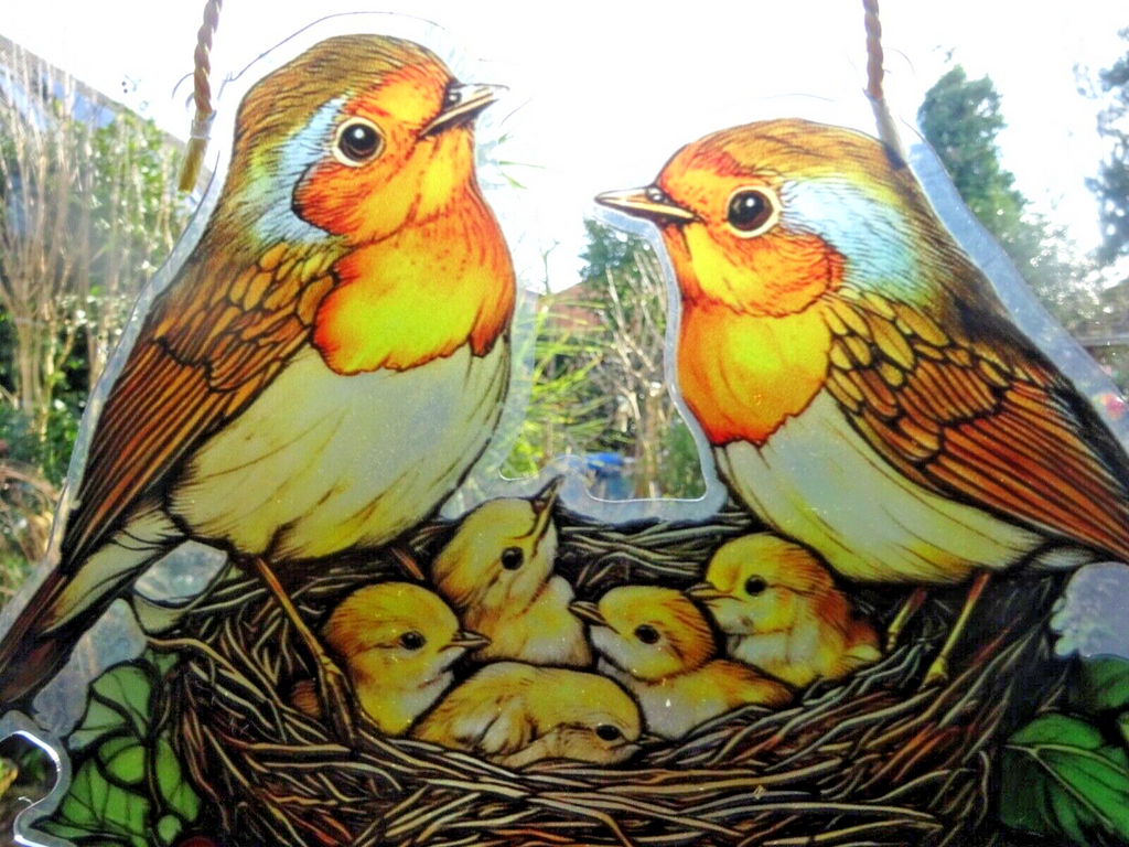 Acrylic Hanging Garden Suncatcher Robin Family Nest 23cm Wide on a Yellow Cord