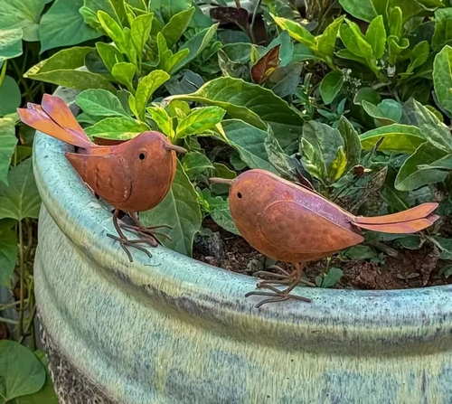 2 x Rusty Metal British Birds Robins Approx 15cm Long Garden Decoration Figures