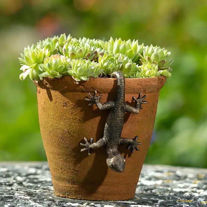 Indoor or Outdoor Use Detailed Resin Plant Pot Hanger Gecko Lizard 11cm x 6.8cm
