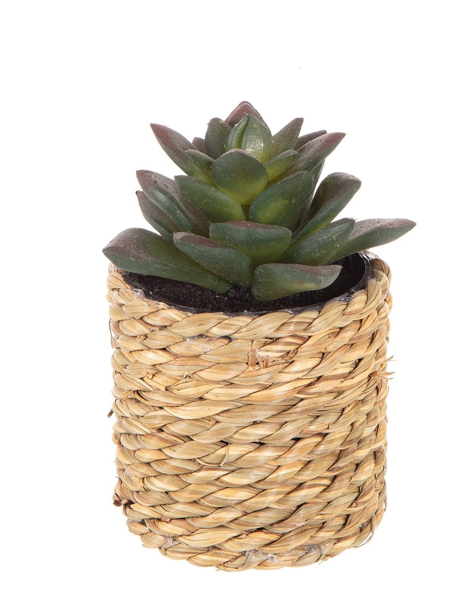 4 Different Artificial Cactus/Mini Succulents in a Seagrass Pot Indoor Outdoor