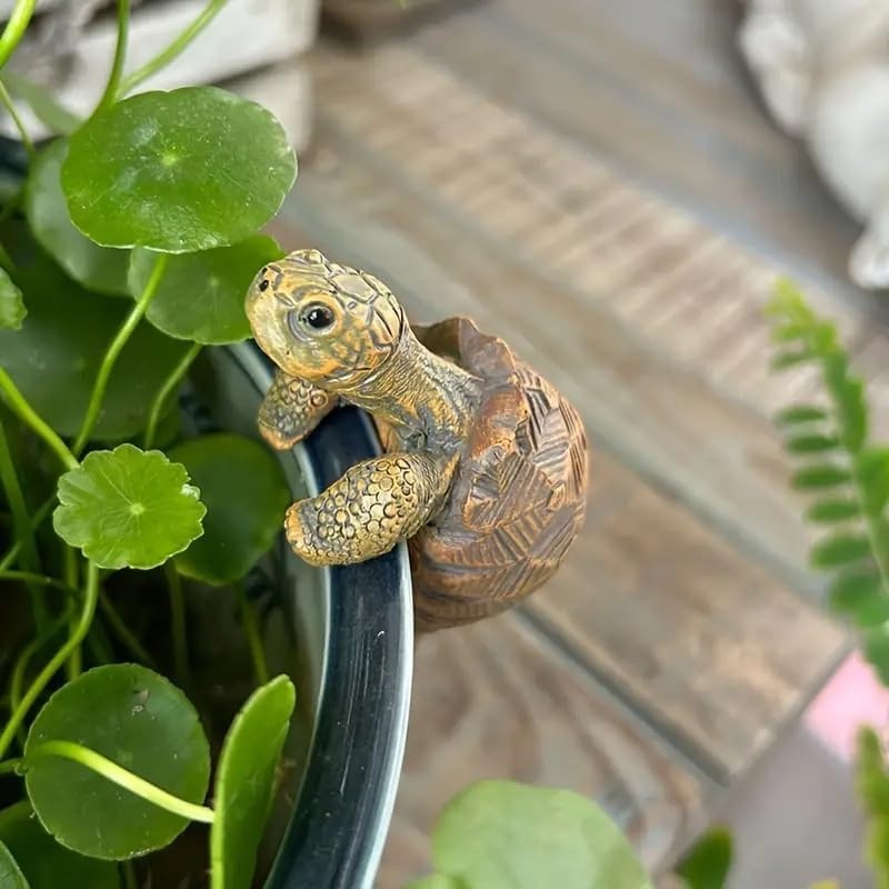 Beautifully Detailed Cute Tortoise Resin Plant Pot Hanger 7.5cm Indoor Outdoor