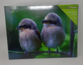 Decorative Canvas Picture Two Fluffy Bird Chicks on Branch Scene 40 x 30cm