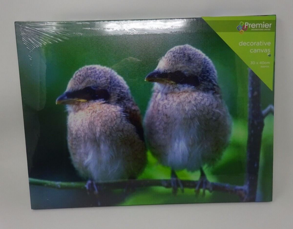 Decorative Canvas Picture Two Fluffy Bird Chicks on Branch Scene 40 x 30cm