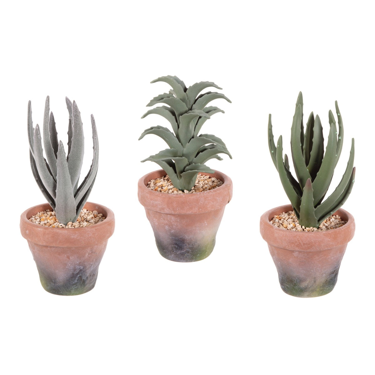 Choice 3 Artificial Cactus Aloe Vera Plants in Terracotta Effect EVA Pot 20-23cm