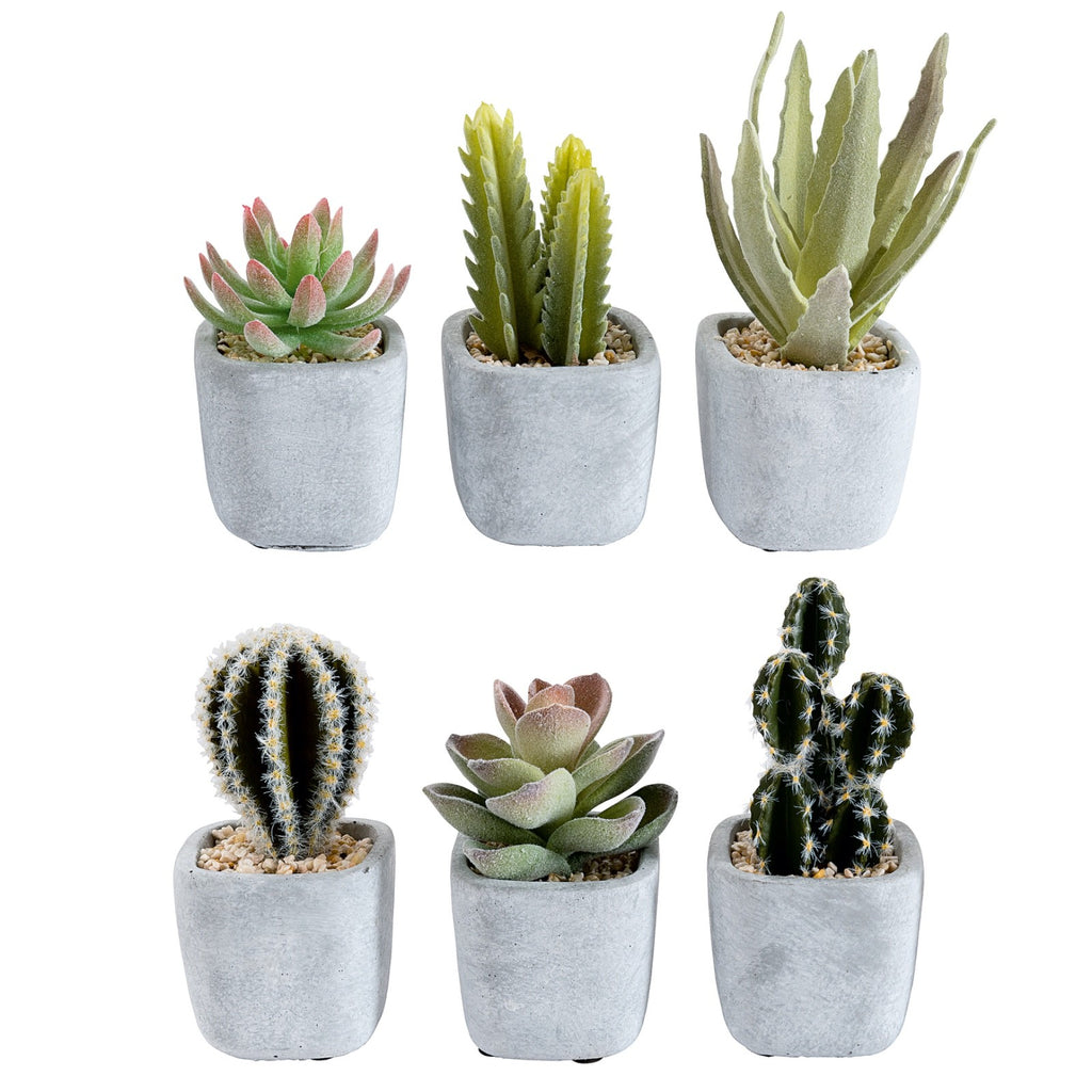 Choice of 6 different Artificial Cactus Plants in a  Stone Effect Ceramic Pot