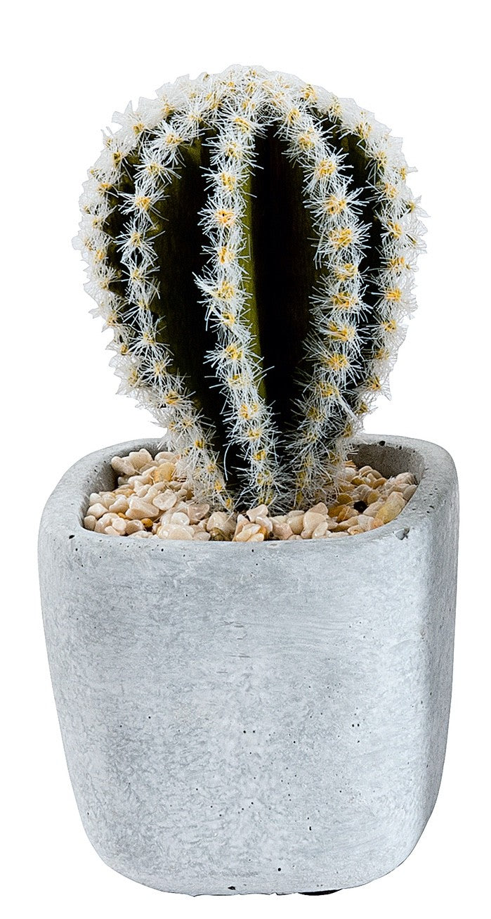 Choice of 6 different Artificial Cactus Plants in a  Stone Effect Ceramic Pot