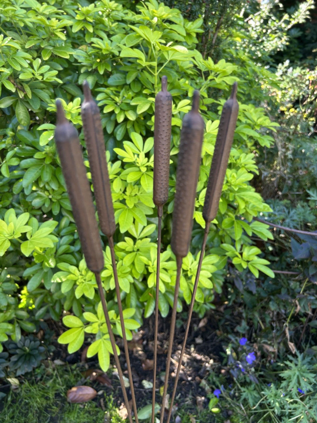 Core-Ten Rusty Metal 5 Bullrush Stake Garden Ornament 1 Metre Tall 15cm Wide