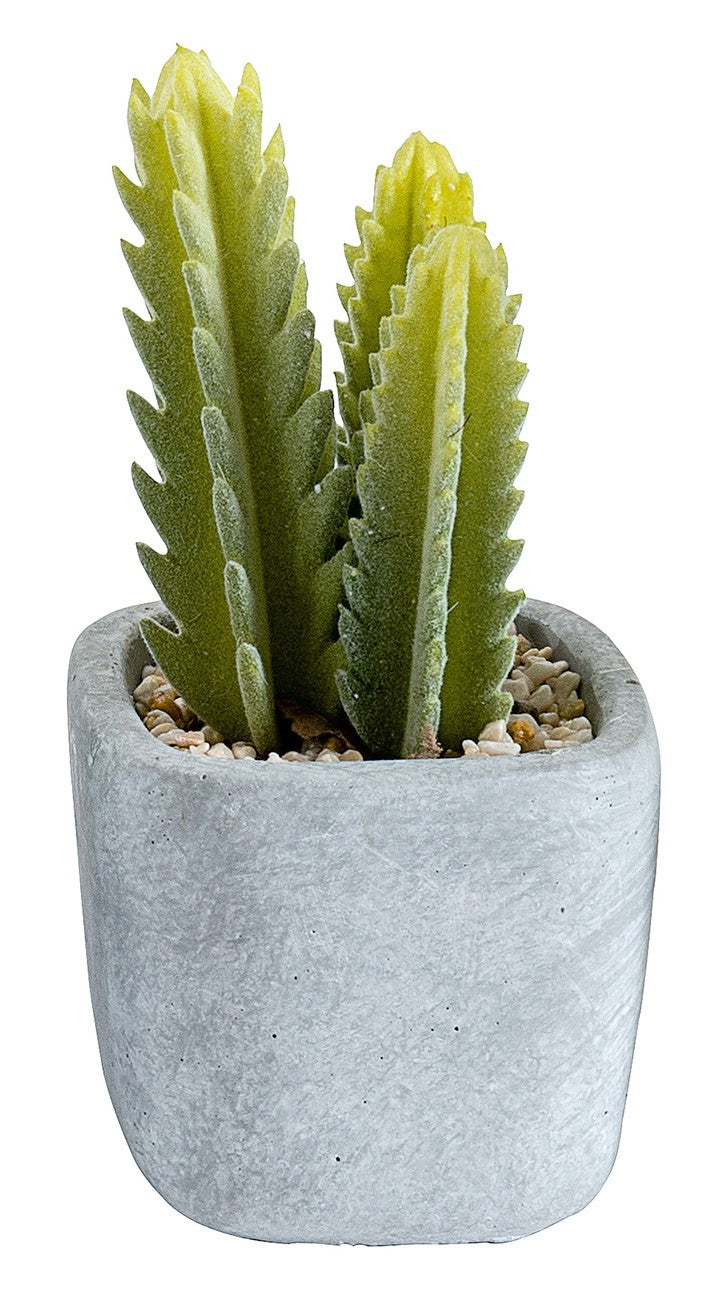 Choice of 6 different Artificial Cactus Plants in a  Stone Effect Ceramic Pot