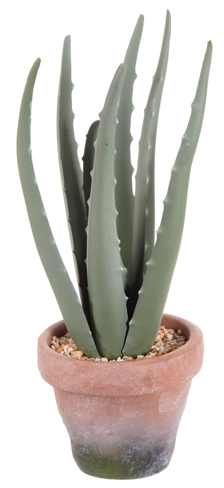 Choice of 2 Artificial Cactus Aloe Vera Plants in Terracotta Effect EVA Pot 30cm