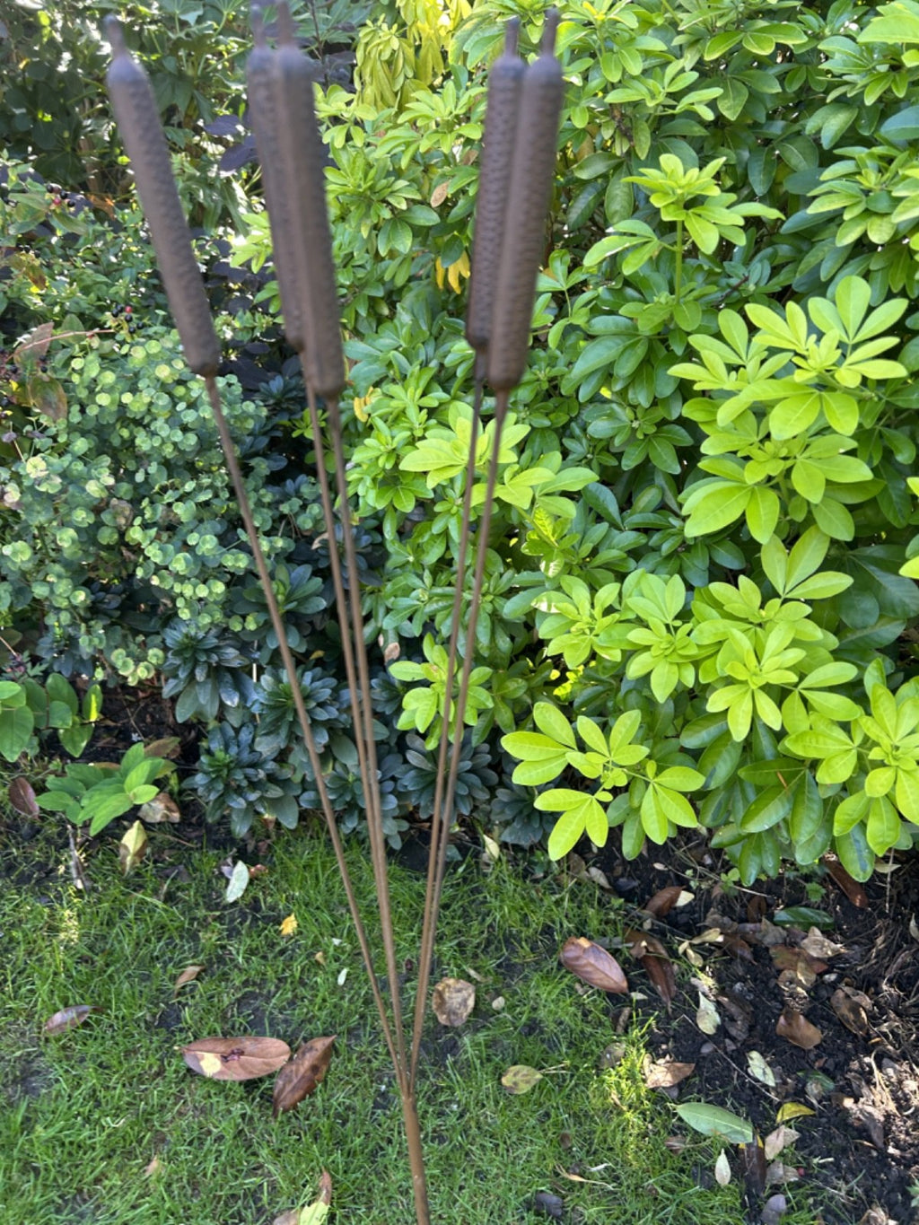 Core-Ten Rusty Metal 5 Bullrush Stake Garden Ornament 1 Metre Tall 15cm Wide