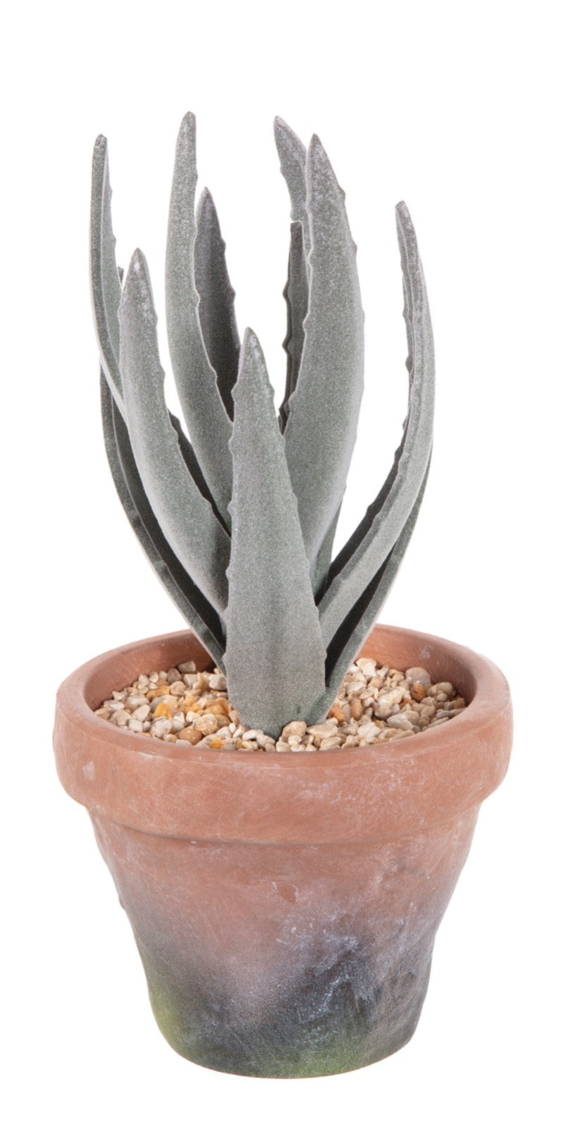 Choice 3 Artificial Cactus Aloe Vera Plants in Terracotta Effect EVA Pot 20-23cm