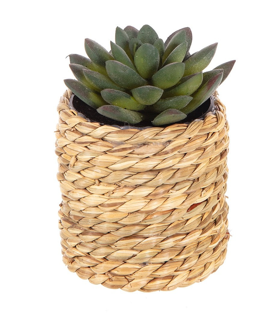 2 Different Artificial Cactus/Mini Succulents in a Seagrass Pot Indoor Outdoor
