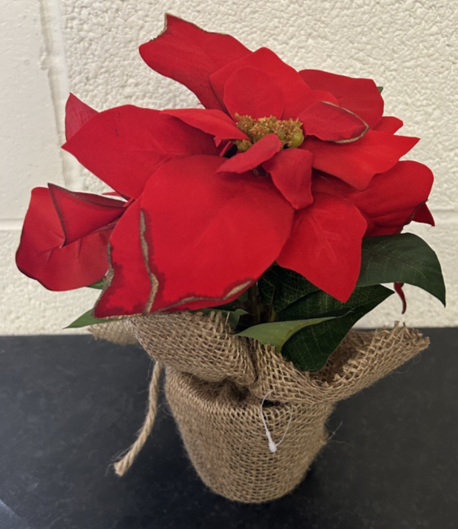 Artificial Floral Christmas Poinsettia Bouquet Hessian Pot Gold Edged Leaves